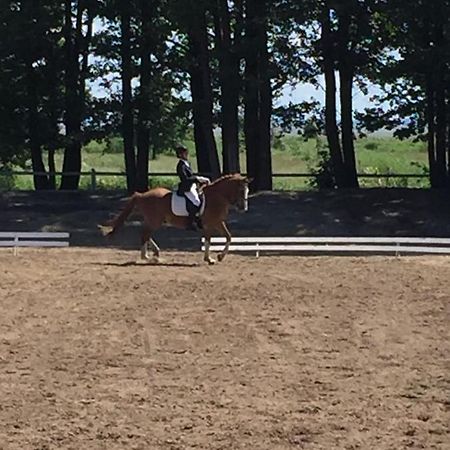 מלון פארנומה Sassi Talu Horsefarm מראה חיצוני תמונה