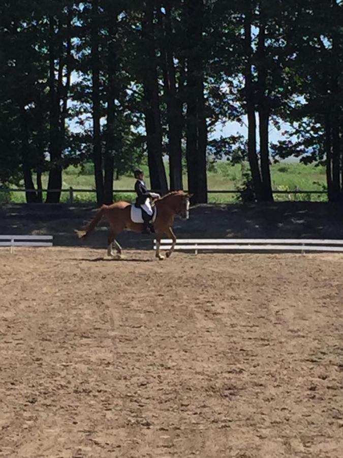 מלון פארנומה Sassi Talu Horsefarm מראה חיצוני תמונה