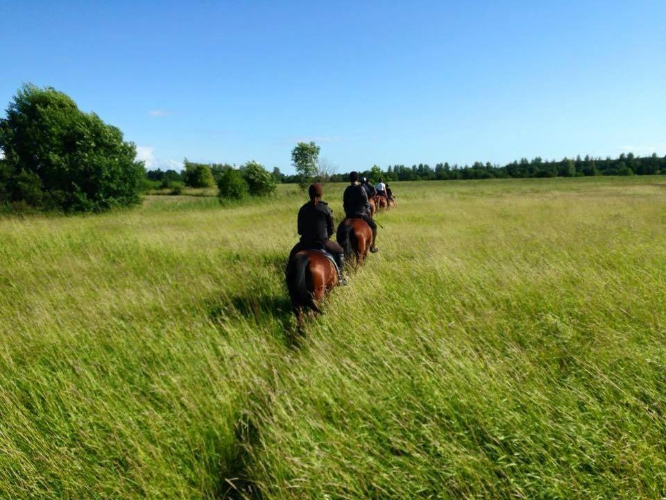 מלון פארנומה Sassi Talu Horsefarm מראה חיצוני תמונה